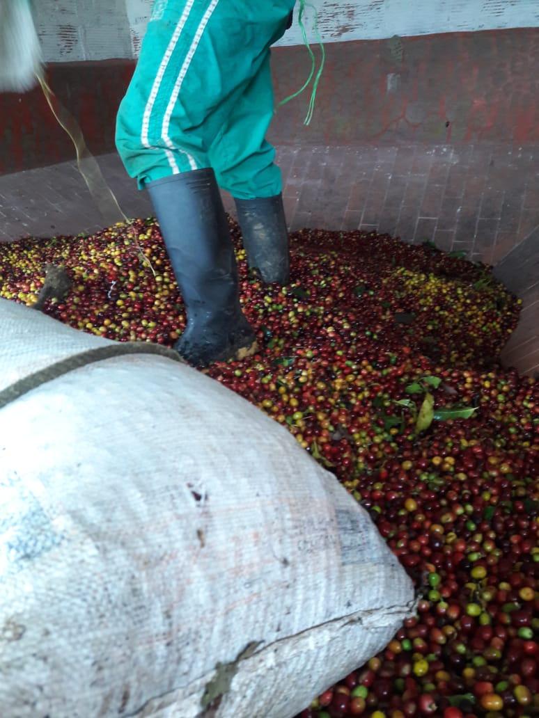 Colombia, Bomba de Fruta, 200 g