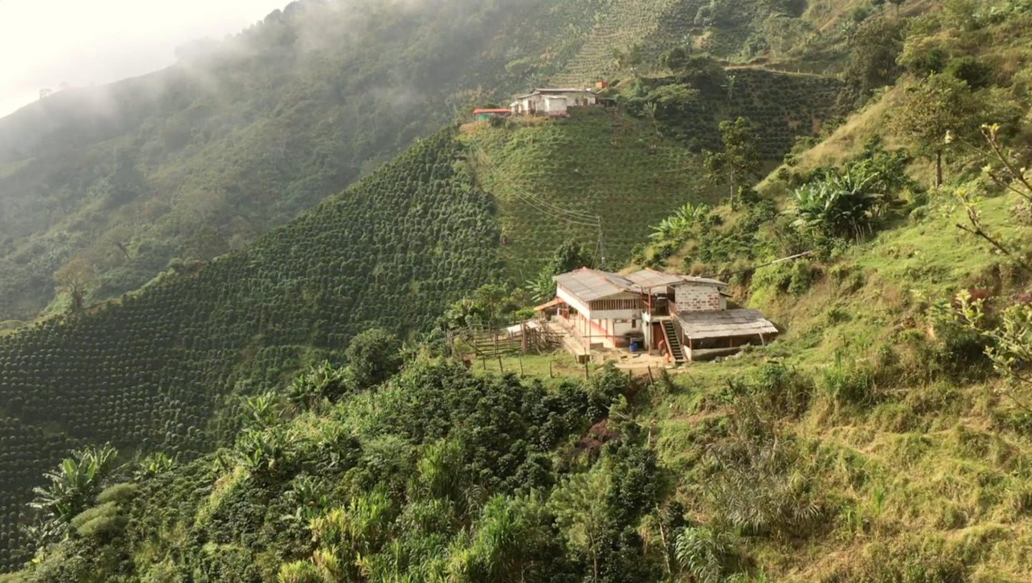 Colombia, Bomba de Fruta, 200 g