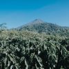 MEISSA Atitlan, Guatemala