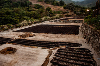 El Salvador, Miramar, 200 g