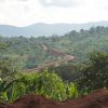 SASABA Guji G1, Ethiopia