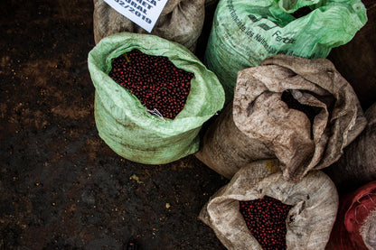 El Salvador, Miramar, 200 g