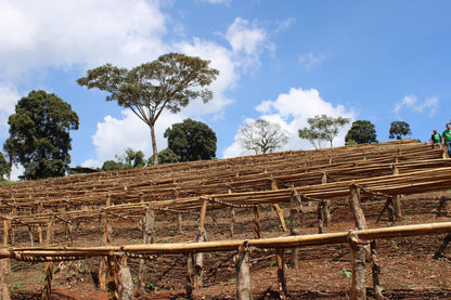 Ethiopia, Koke Honey, 200 g